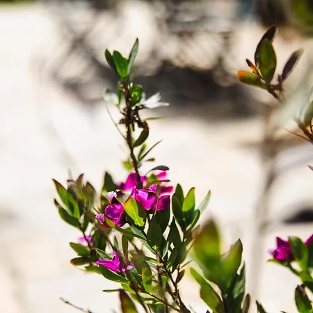 L'effet Maison Renovee Lumineuse Confort Belle Terrasse Grand Jardin Clos Sans Vis A Vis Parking Jeux Pour Enfants 5 Mn A Pied De La D'asnelles Et Centre Bourg - Proche Bayeux Au Coeur Des Plages Du Debarquement *