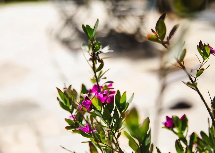 L'effet Maison Renovee Lumineuse Confort Belle Terrasse Grand Jardin Clos Sans Vis A Vis Parking Jeux Pour Enfants 5 Mn A Pied De La D'asnelles Et Centre Bourg - Proche Bayeux Au Coeur Des Plages Du Debarquement *
